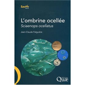 L'ombrine ocellée