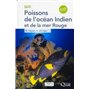 Poissons de l'océan Indien et de la mer Rouge