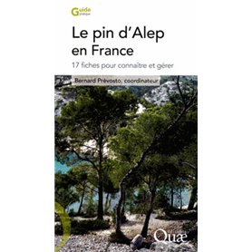 Le pin d'Alep en France