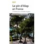 Le pin d'Alep en France