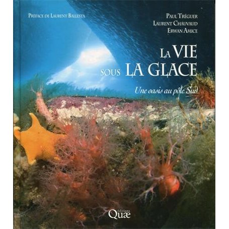 La vie sous la glace