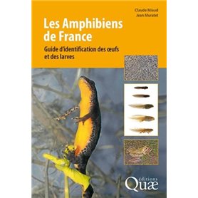 Les amphibiens de France