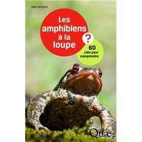 Les amphibiens à la loupe ?