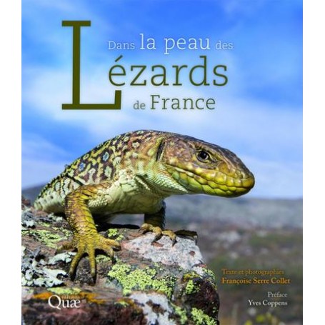 Dans la peau des lézards de France