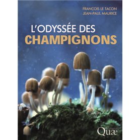 L'odyssée des champignons