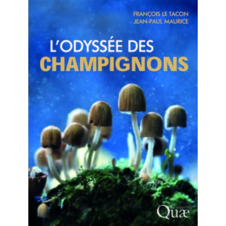 L'odyssée des champignons