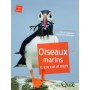 Oiseaux marins