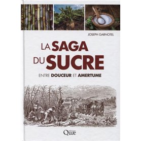 La saga du sucre