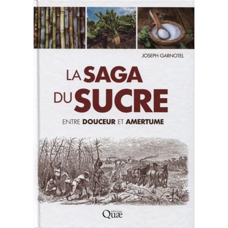 La saga du sucre