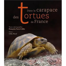 Dans la carapace des tortues de France