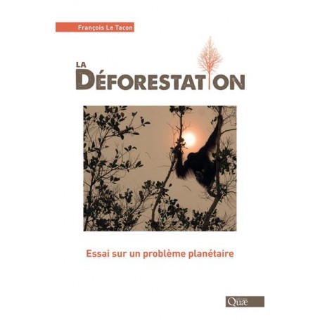 La déforestation