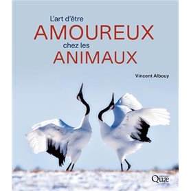 L'art d'être amoureux chez les animaux