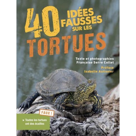 40 idées fausses sur les tortues