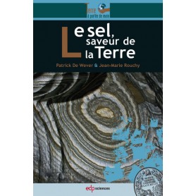 Le sel, saveur de la Terre