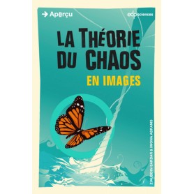 La théorie du chaos en images