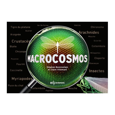 Macrocosmos