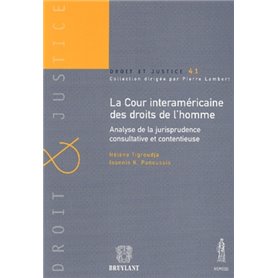 LA COUR INTERAMÉRICAINE DES DROITS DE L'HOMME