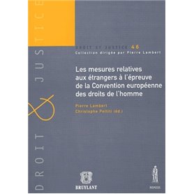 LES MESURES RELATIVES AUX ÉTRANGERS À L'ÉPREUVE DE LA CONVENTION EUROPÉENNE DES