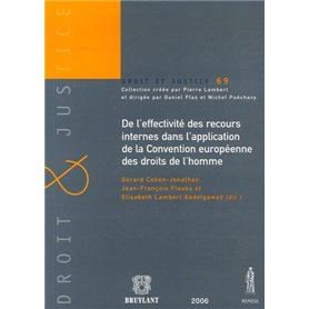 de l'effectivité des recours internes dans l'application de la convention europé