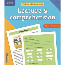 Cahier d'exercices lecture & compréhension (CE1 -2e primaire) (bleu-orange)