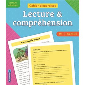 Cahier d'exercices lecture & compréhension (CE1 -2e primaire) (bleu-violet)