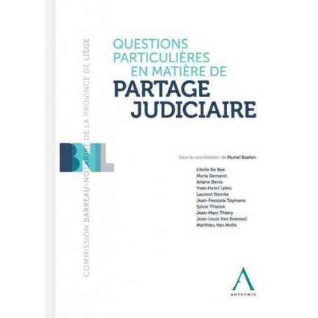 questions particulières en matière de partage judiciaire