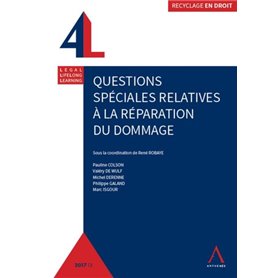 QUESTIONS SPECIALES RELATIVES A LA REPARATION DU DOMMAGE