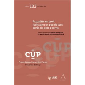 ACTUALITES EN DROIT JUDICIAIRE : UN PEU DE TOUT APRES SIX POTS-POURRIS