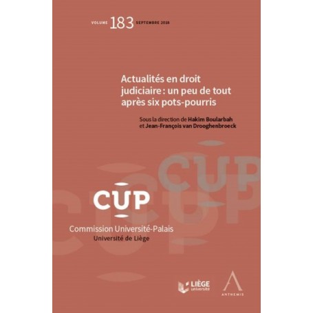 ACTUALITES EN DROIT JUDICIAIRE : UN PEU DE TOUT APRES SIX POTS-POURRIS