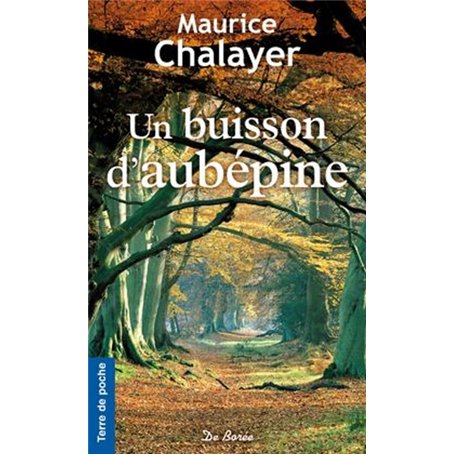 Un buisson d'aubépine