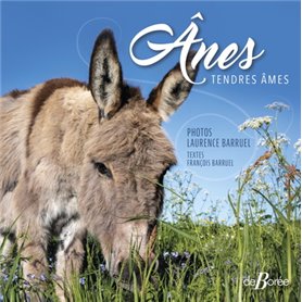 Ânes - Tendres âmes