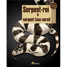 Serpent-roi et serpent faux-corail