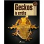 Geckos à crête