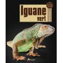 Iguane vert