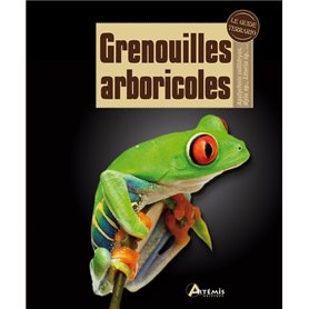 Grenouilles arboricoles