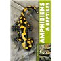 Amphibiens & reptiles