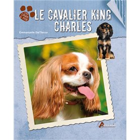 Le cavalier king charles
