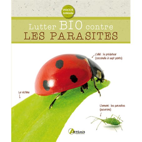 Lutter bio contre les parasites du jardin