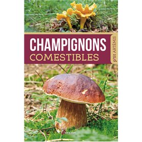 CHAMPIGNONS COMESTIBLES