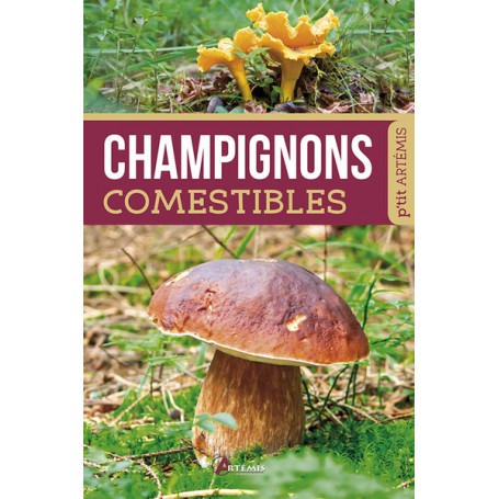 CHAMPIGNONS COMESTIBLES