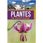 Plantes de montagne