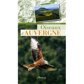 Oiseaux d'Auvergne