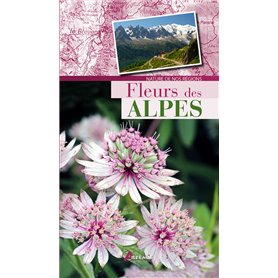 Fleurs des Alpes