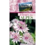 Fleurs des Alpes