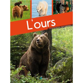 L'ours