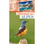 Oiseaux des Alpes