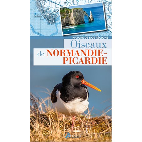 Oiseaux de Normandie-Picardie