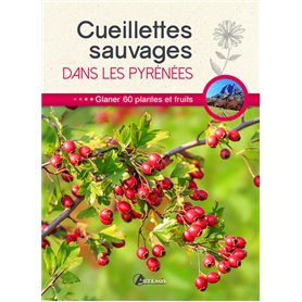 Cueillettes sauvages dans les Pyrénées