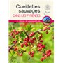 Cueillettes sauvages dans les Pyrénées