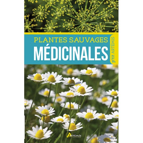 Plantes sauvages médicinales